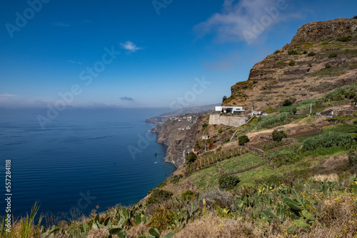 Ocean view from the cliff - Madeira Island © colatudo