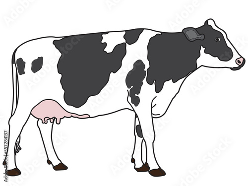 Cow in flat design on white background