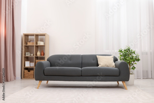 Stylish sofa and houseplant in room. Interior design