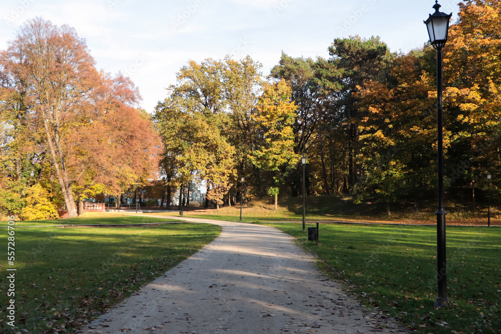 Picturesque view of park with beautiful trees and pathway on sunny day. Autumn season
