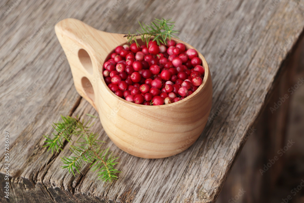 Cup with tasty ripe lingonberries and spruce twigs on wooden surface Cup with tasty ripe lingonberries and spruce twigs on wooden surface