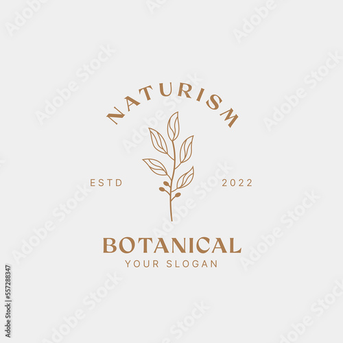 Hand drawn feminine signs or logo templates, floral illustration with typography, a botanical logo for your business