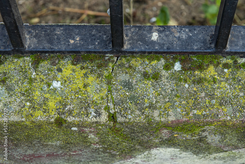 Stone curb with a layer of verdin and a black metal railing photo