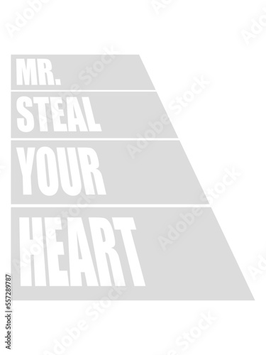 mr steal your heart 