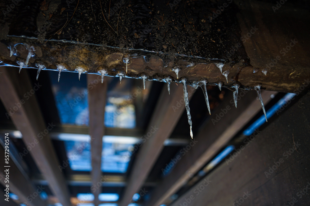 I took pictures of various icicles.