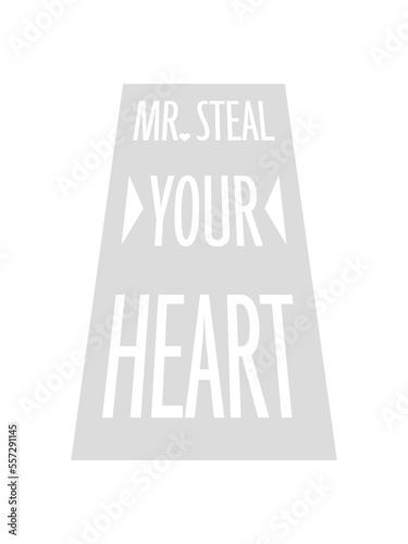 mr steal your heart 