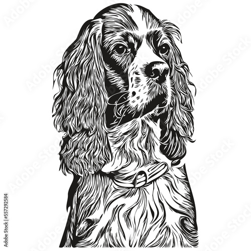 Spaniel English Springer dog black and white vector logo, line art hand drawn vector pets illustration