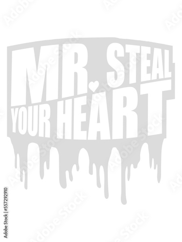 mr steal your heart 