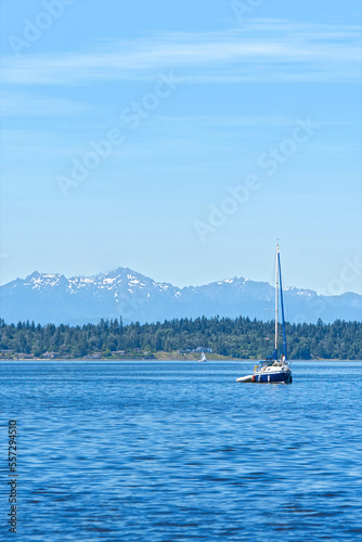 sailboat on the sea