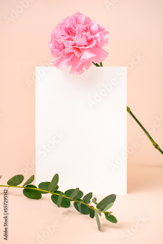 카네이션 꽃과 카드목업