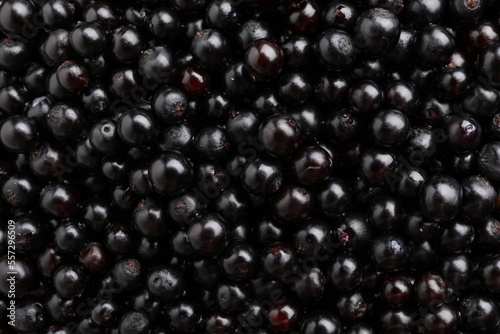 Black elderberries (Sambucus) as background, top view