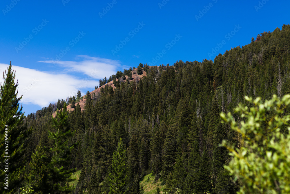 Wooded Mountains Along the Blue Sky