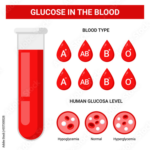 Human level glucose infographic and blood type vector