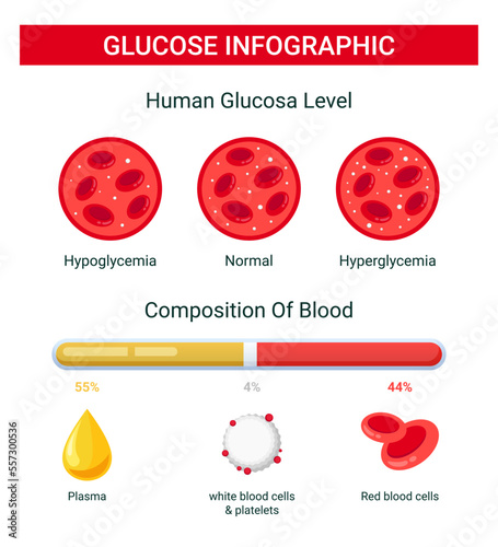 Glucose blood infographic, human glucose level, blood glucose composition