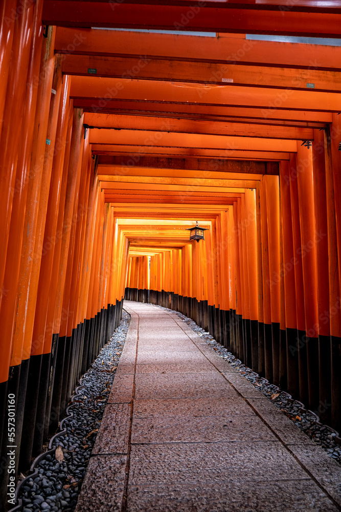 Fototapeta premium Torii, Fushimi Inari Taisha, Kyoto Japan