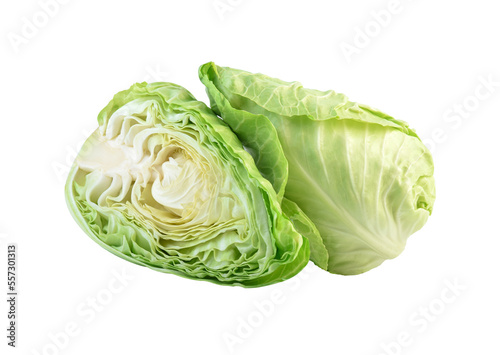 fresh green pointed cabbage isolated on white background