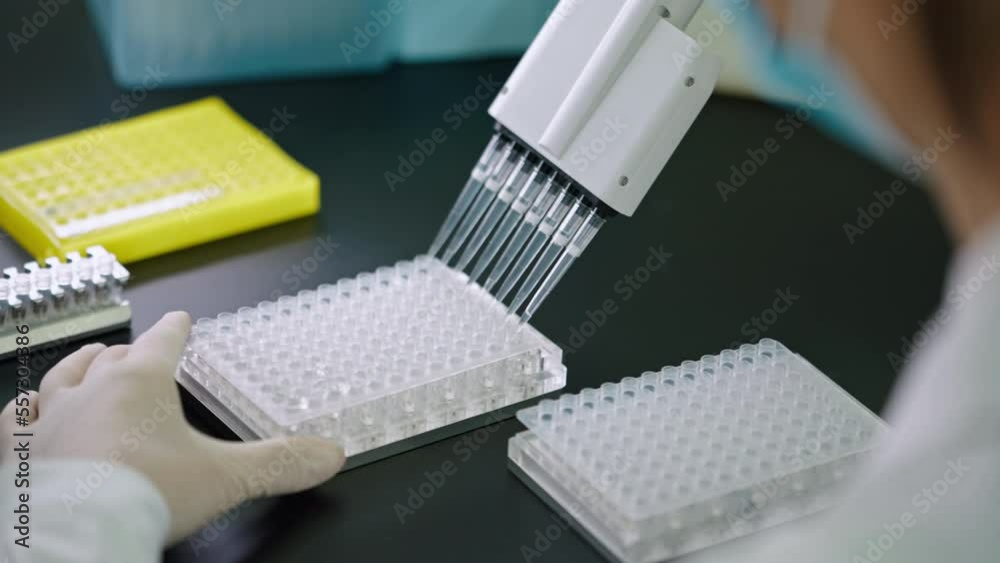Chinese scientist pipetting samples in laboratory,4K Chinese scientist pipetting samples in laboratory,4K