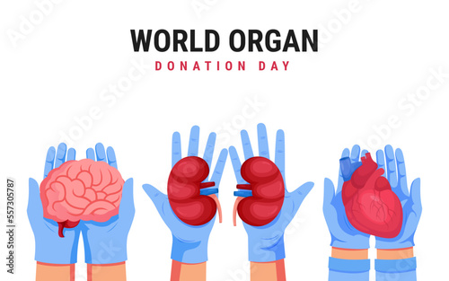 World organ donation day, medical design illustration, doctor vector