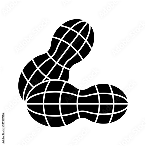 Peanut icon. Outline of peanut vector icon for web design. vector illustration isolated on white background