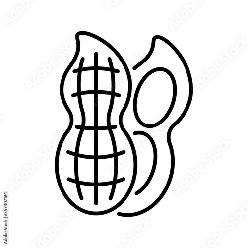 Peanut icon. Outline of peanut vector icon for web design. vector illustration isolated on white background
