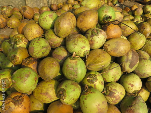 coconut traders, young coconut