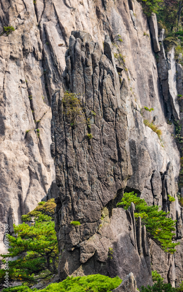 Natural scenery of Huangshan Scenic Area in Anhui Province
