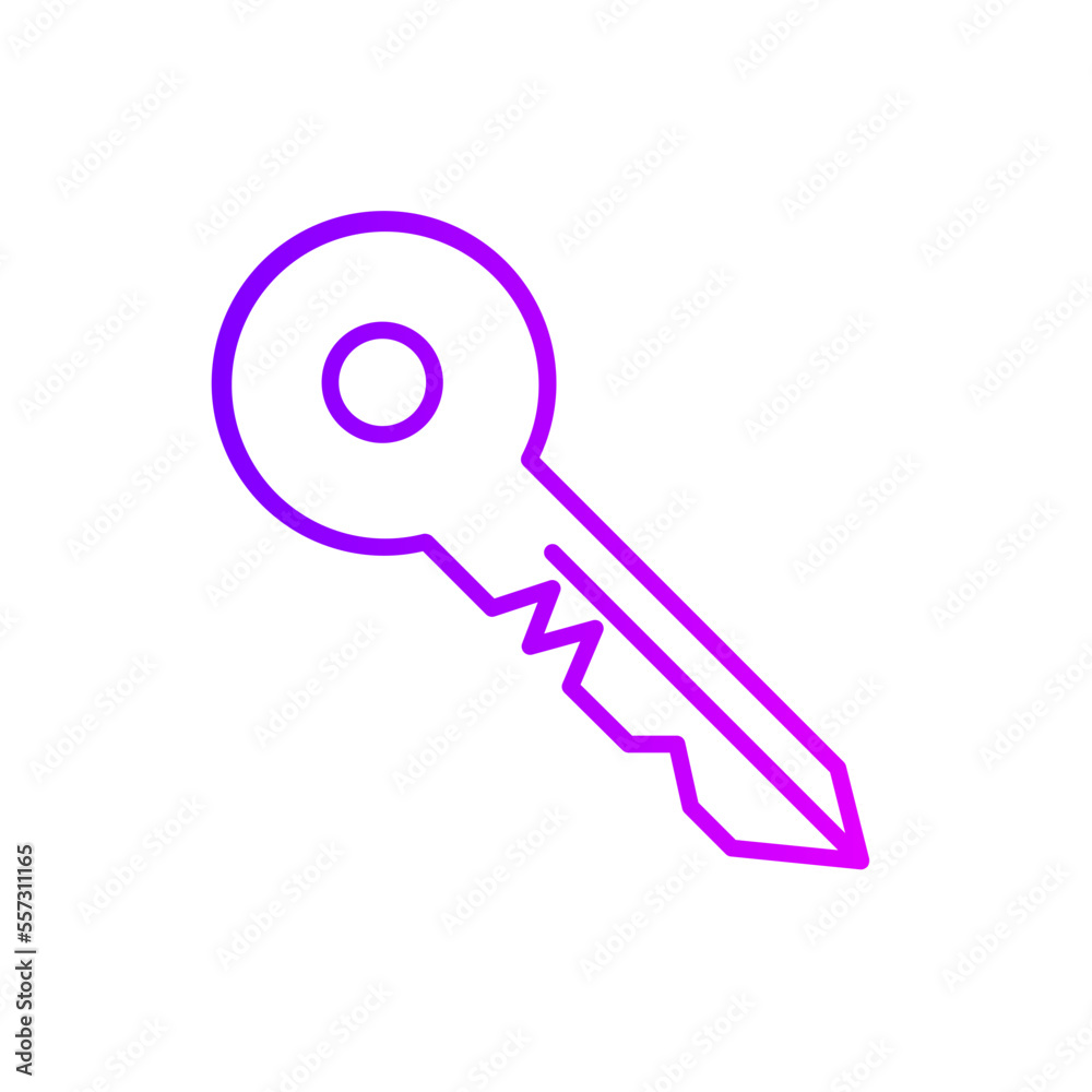 key gradient icon