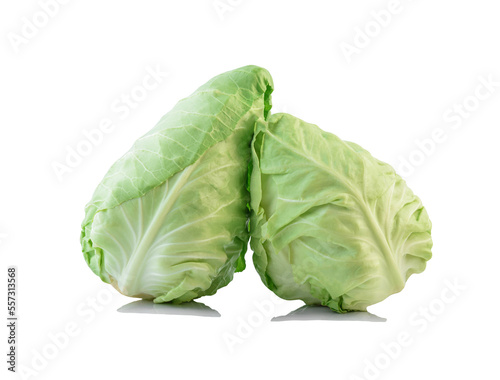 fresh green pointed cabbage isolated on white background