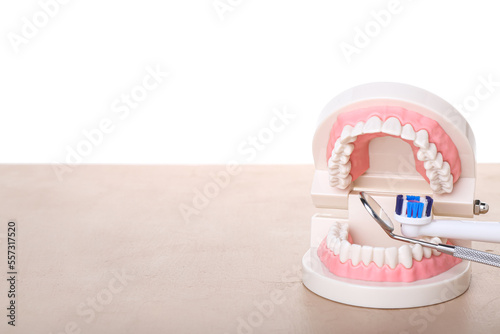 Jaw model with brush and dental tool on beige table against white background
