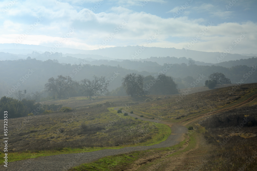 Morning Fog Grassland and Rolling Hills at Arastradero Preserve. Santa Clara County, California, USA.