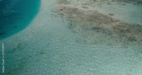 Aerial view tilt up reveal barrier reef kiters sailing on blue shalow water, Los Roques photo