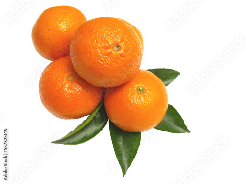 Mandarin  with leaves isolated