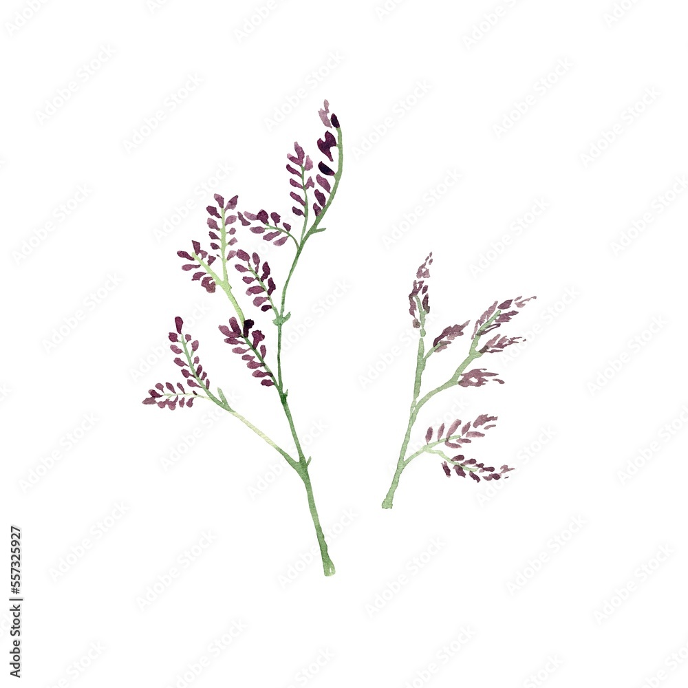 Violet flower plant branch set sketch watercolor 