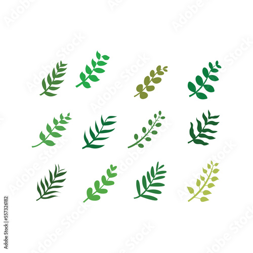 set of green leaves isolated on white background. 