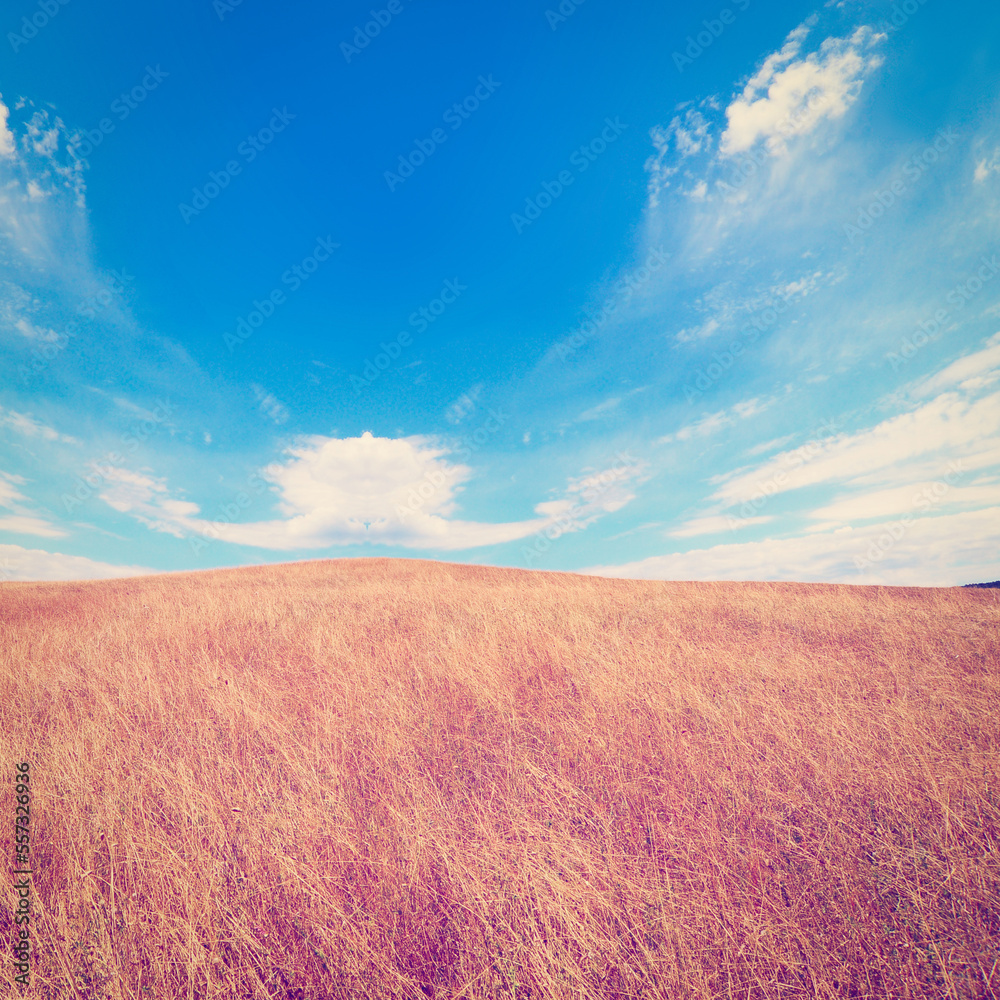 Obraz premium Tuscany