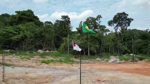 Amazon forest flag