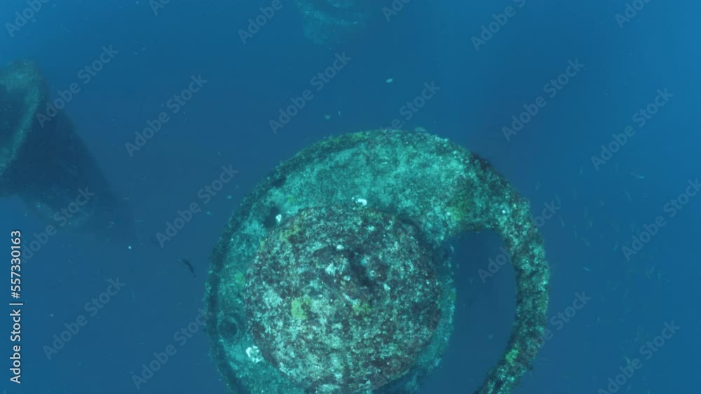 Wonder reef an underwater buoyant artificial reef structure made for scuba divers and marine habitat.