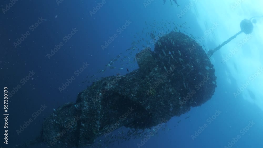 Underwater buoyant artificial reef structure on the Gold Coast Australia installed for scuba divers and marine habitat.