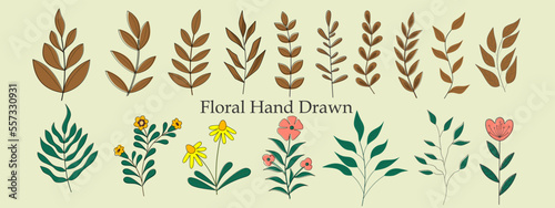 collection of hand drawn leaves and flowers. Decorative beauty elegant illustration for design hand drawn flower. icon vector