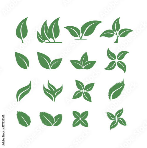 vector leaf for nature  leaf Icon Eps  leaf icon  vector leaf  leaf logo  logo leaf  leaf pack  leaf icon pack in green color.