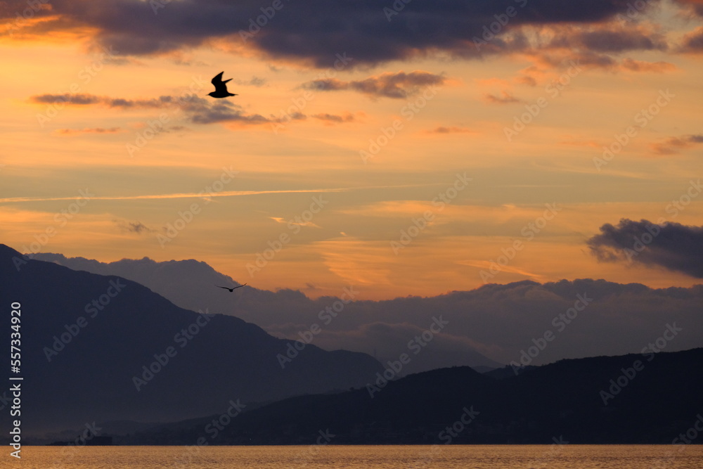 sunset in the mountains.seagull over the sea in Montenegro sunset in the mountains.seagull over the sea in Montenegro