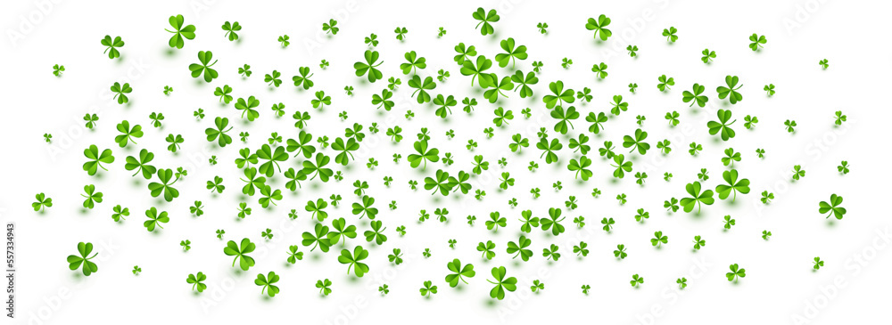 Spring Clover Isolated Vector White Panoramic Spring Clover Isolated Vector White Panoramic
