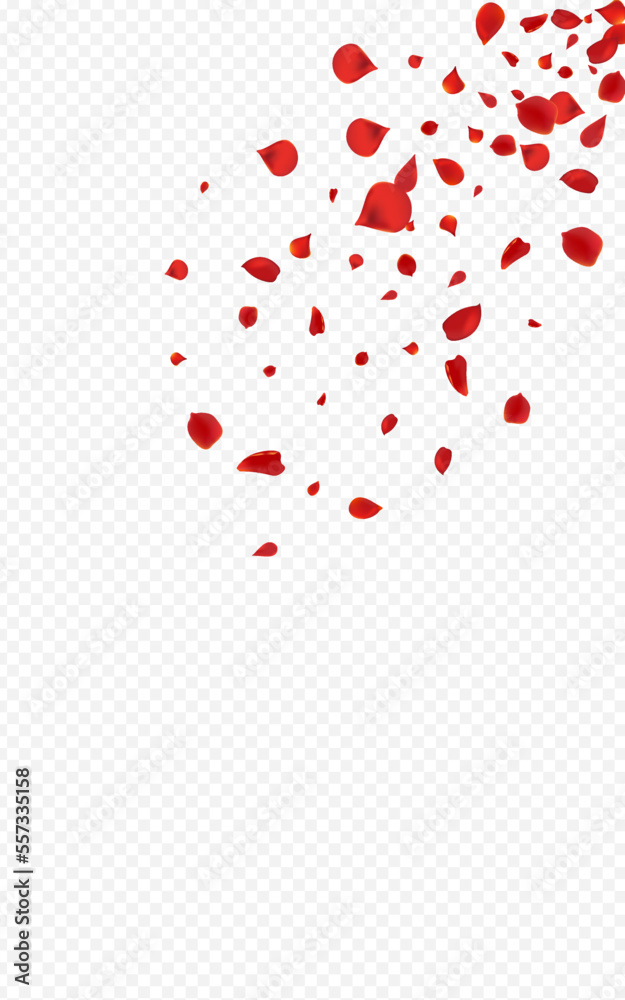 Beautiful Blossom Summer Vector Transparent