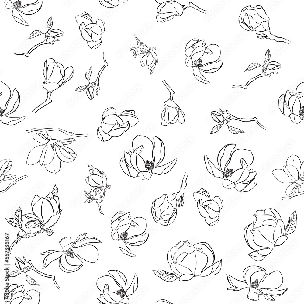 European magnolia. Seamless pattern with outline magnolia flower, ornate buds and leaves on the white background. Elegance floral background in contour style for summer design and coloring book European magnolia. Seamless pattern with outline magnolia flower, ornate buds and leaves on the white background. Elegance floral background in contour style for summer design and coloring book