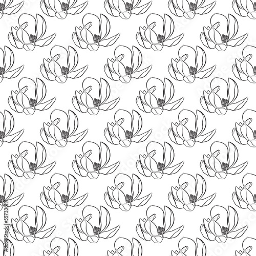 European magnolia. Seamless pattern with outline magnolia flower, ornate buds and leaves on the white background. Elegance floral background in contour style for summer design and coloring book