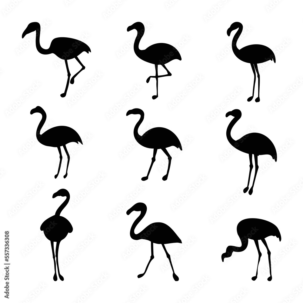 Obraz premium flamingo bird collection silhouettes vector illustration isolated white background