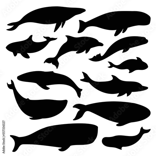 collection of whales silhouettes vector illustration marine mammals isolated white background