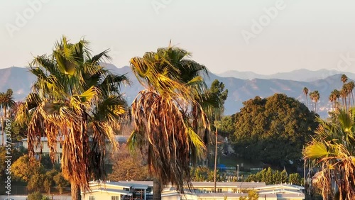 Aerial view of Hollywood sign and Hollywood Hills in California USA on a sunny day with palm trees.