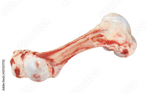Fresh raw lamb leg isolated on white background. Fresh lamb meat isolated.
