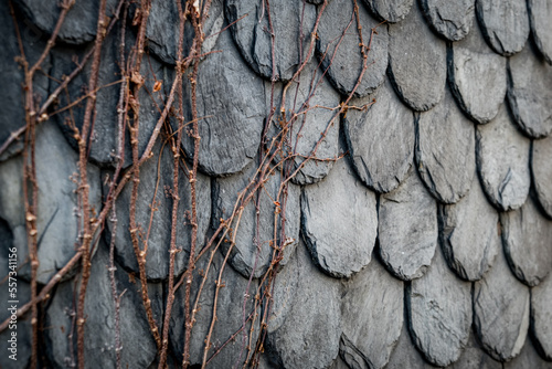 old stone wall with scales - Hokkaido Japan